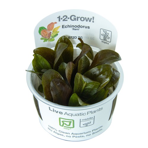 Tropica live aquarium - tropica,