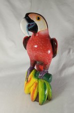 Beautiful Vibrant Colorful