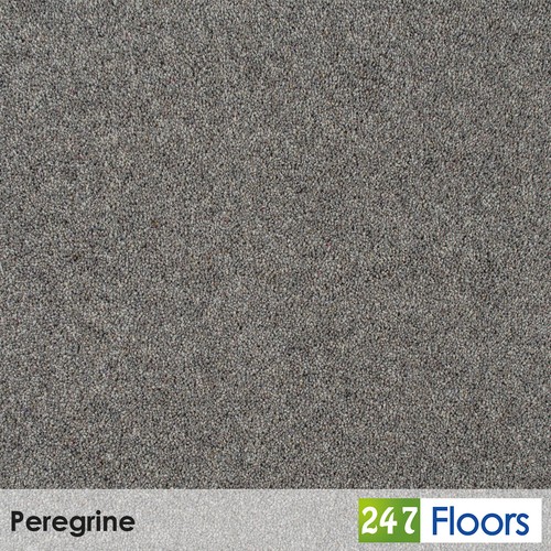 Peregrine woodland heather - peregrine,