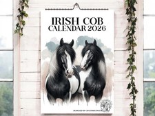 Irish Cob Calendar 2026-Horse