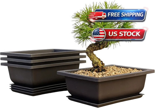 Bonsai outlet training - bonsai,