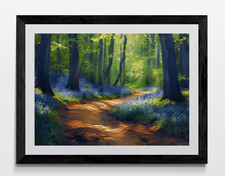 Bluebell Woodland Forest