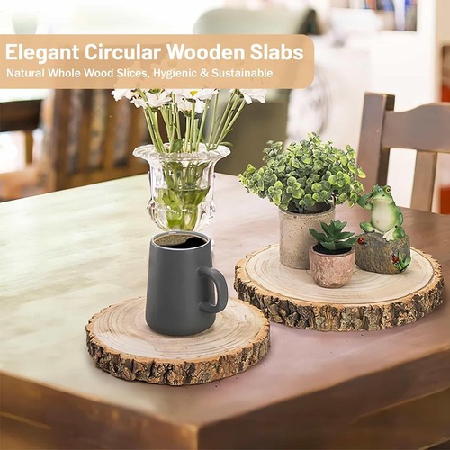 Large wood slices - slices, log