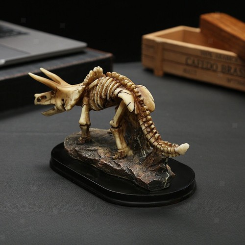 Dinosaur skeleton statue - dinosaur,