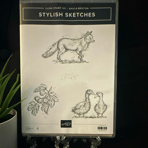 Stampin stylish sketches - stampin',
