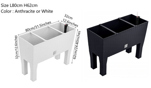 Raised planter plant - raised, on