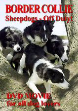BORDER COLLIE SHEEPDOGS Off Duty! New Dog & Puppies DVD