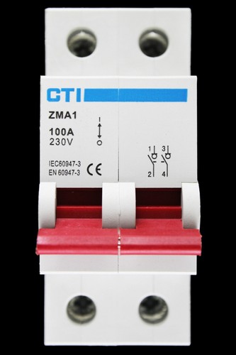 Cti 100 amp double pole - 100, main