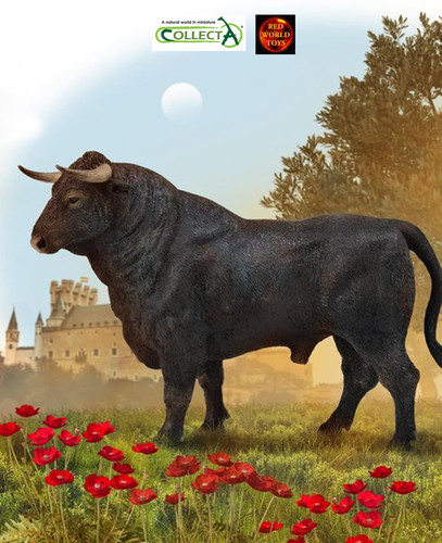 Spanish fighting bull animal - spanish,
