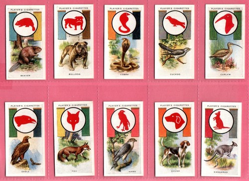 Players boy scout girl - players:,