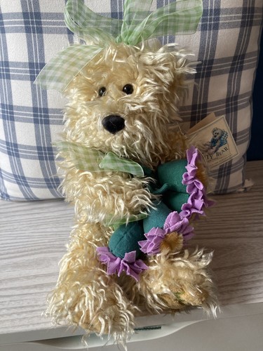 Monty bear little sister - bear,