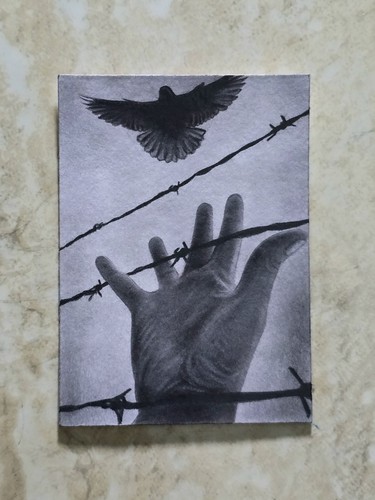 Bird original aceo pencil - ⭐bird,