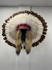 Native American Feather