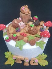 Hedgehog family woodland - hedgehog,