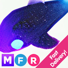 Glormy Dolphin ✨ Mega Neon