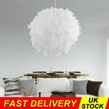 Ceiling Light Feather