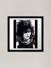 Siouxsie And The Banshees