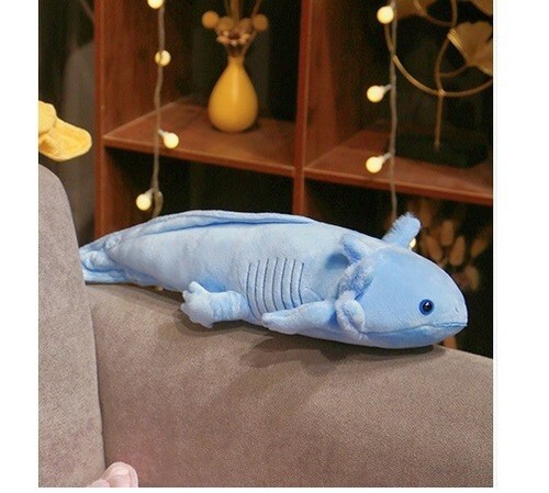 Blue axolotl ambystoma inch - 17,