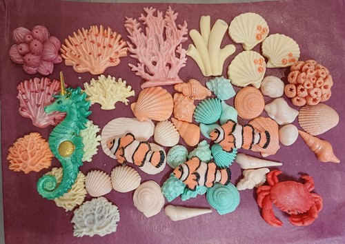Sea ocean clown - 45, shells
