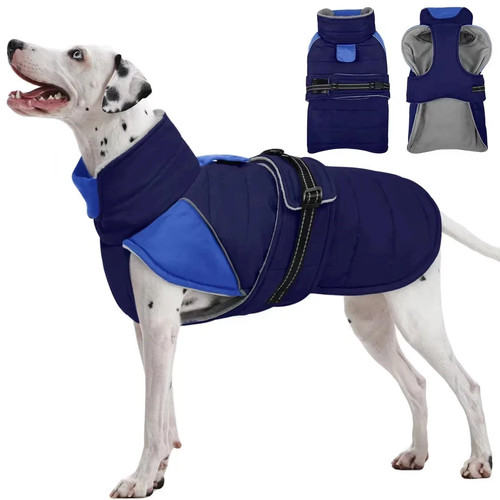 Medium large dog - medium,