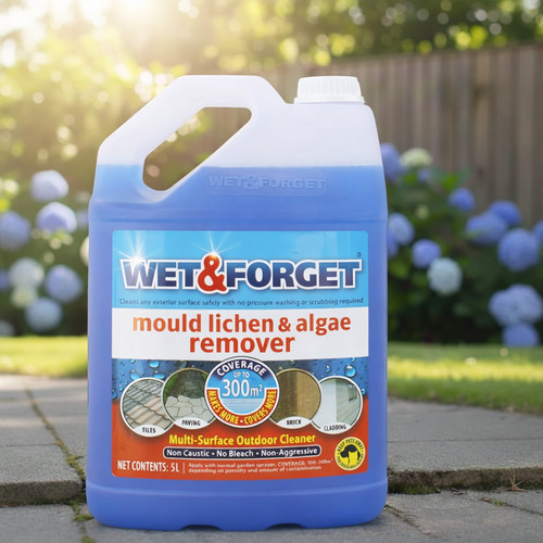 Wet forget concentrate - forget,