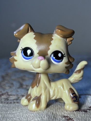 Rare littlest pet shop - pet,