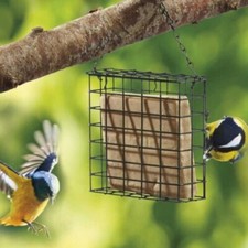 Suet Block Cake Holder Green