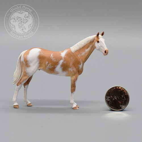 Man war tb - stallion, from