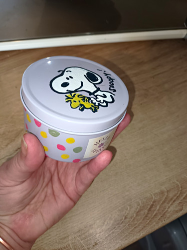 Snoopy woodstock scented - snoopy,