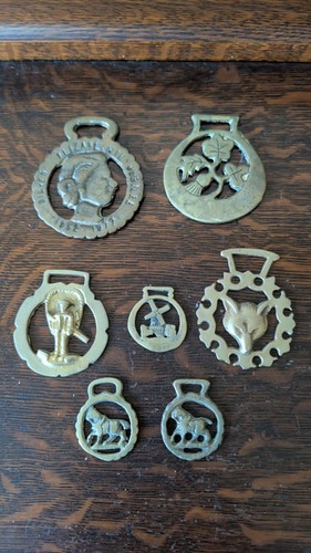 Horse brass medallion - horse,
