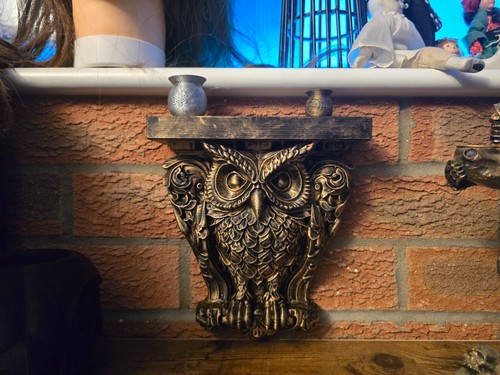 Owl wall shelf stunning