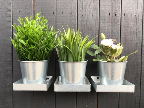 Pack wall mounted potted - wall,
