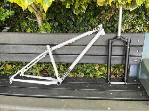 Fat bike frame and forks