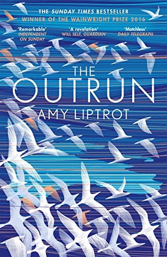 The outrun amy liptrot book - the, by