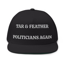 Tar & Feather Politicians