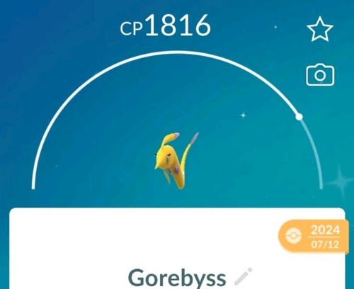 Pokemon shiny - pokemon, go