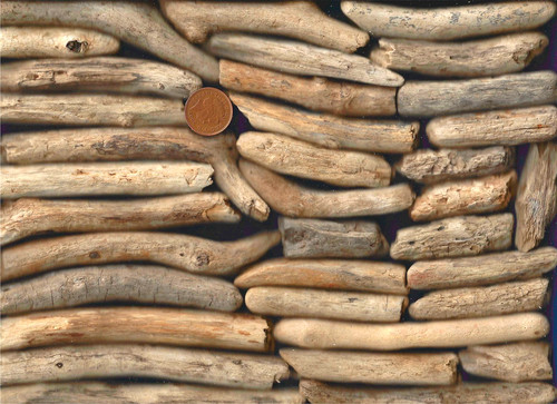 North sea driftwood - 35,