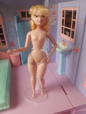 Barbie made to move curvy bo