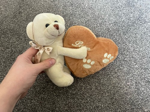 Cream teddy bear plush - bear,