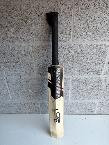 Kookaburra beast cricket - 9.0,