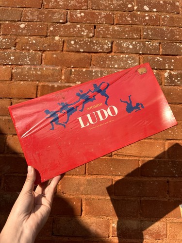 Vintage retro ludo board - ludo, game