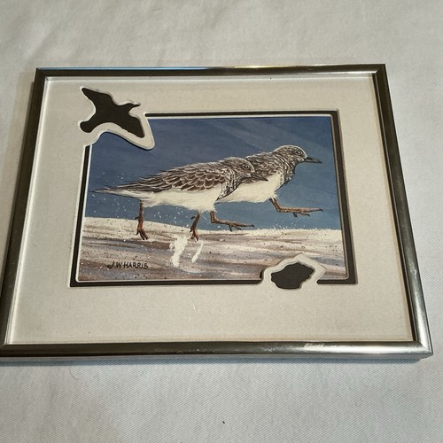 Harris shorebird print - j.w.,