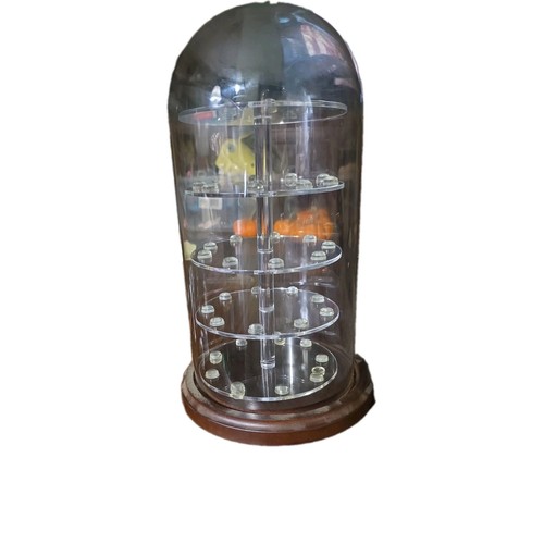 Clear glass dome cloche - dome,