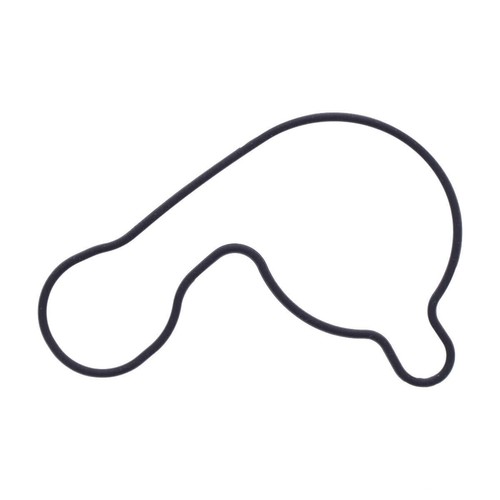 Jmp water pump gasket - pump,
