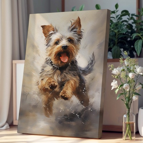Yorkshire terrier action - yorkshire,