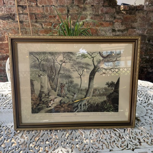 Large vintage framed - vintage, pheasant