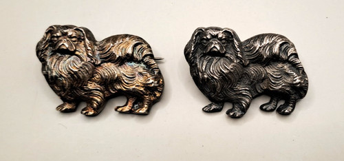 Sterling pekingese dog - sterling,