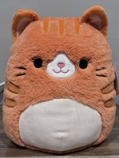BNWT Ginger Cat Squishmallow