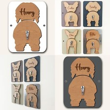 Polish Lowland Sheepdog Dog