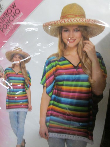 Adult fancy dress henbrant - fancy,